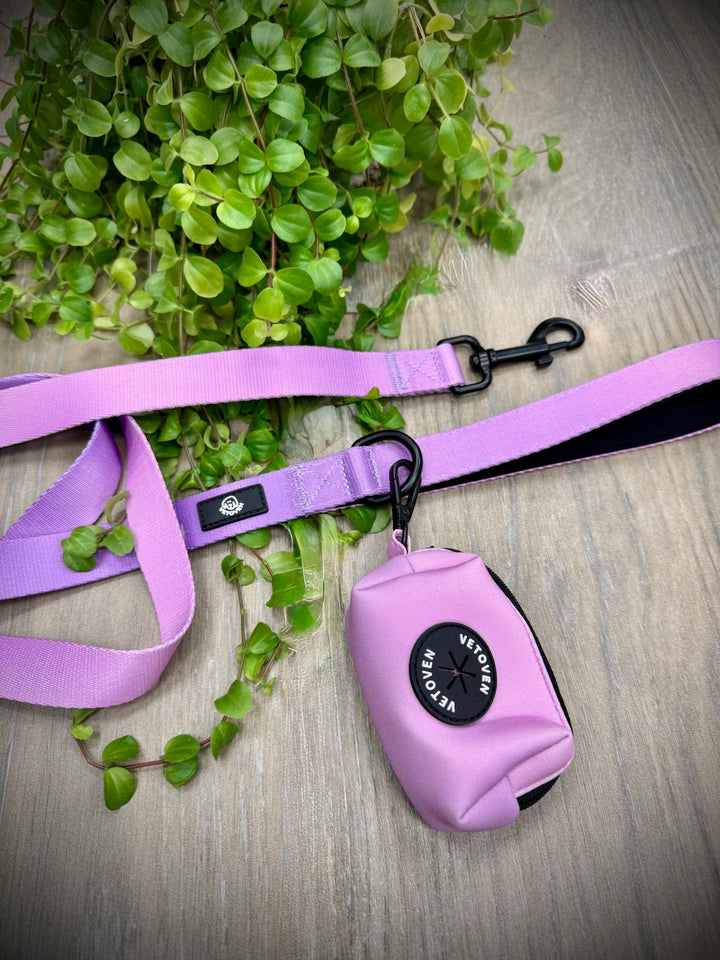 Correa Lavanda para Perro Vetoven – Colección Primavera