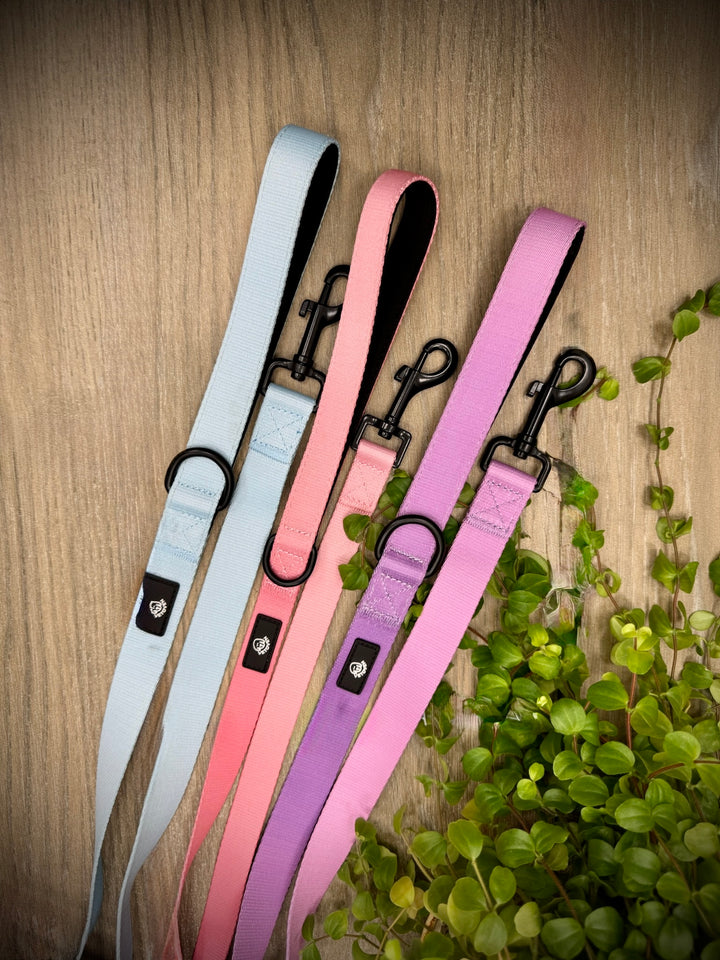Correa para Perro Cielo Vetoven - Colección Primavera