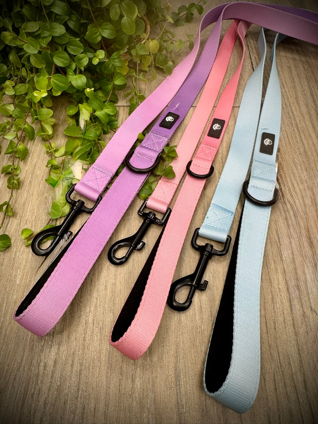 Correa para Perro Cielo Vetoven - Colección Primavera
