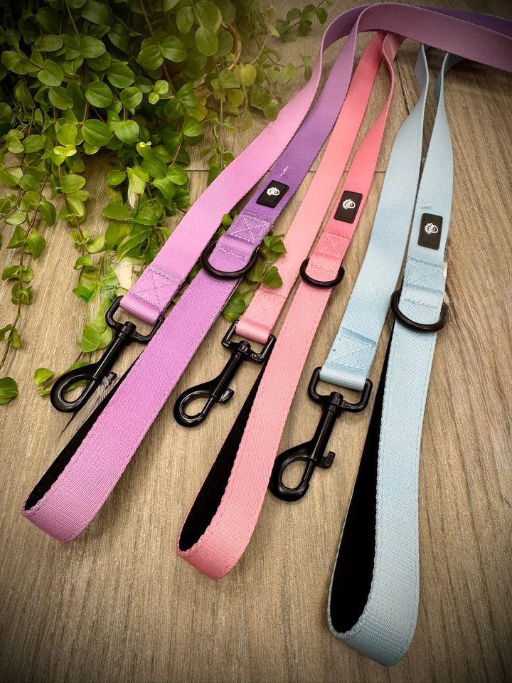 Correa para Perro Cielo Vetoven - Colección Primavera