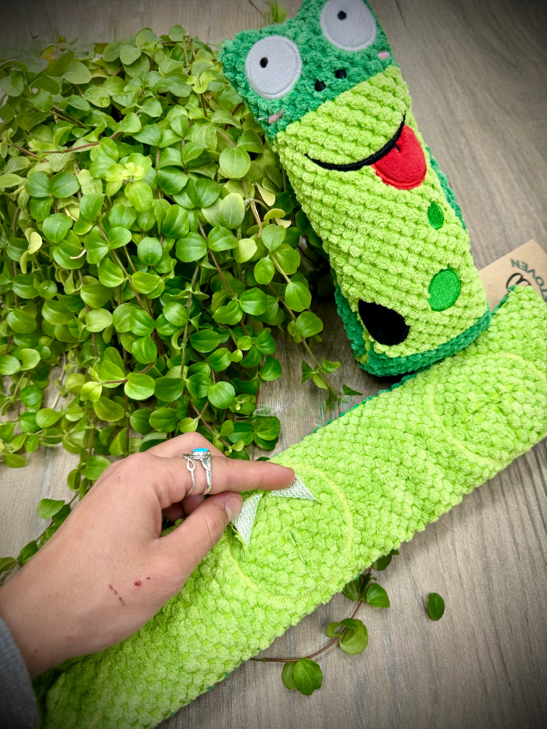 🐸 Juguete Interactivo “Rana Buscona” – Diversión Olfativa con Mucha Personalidad