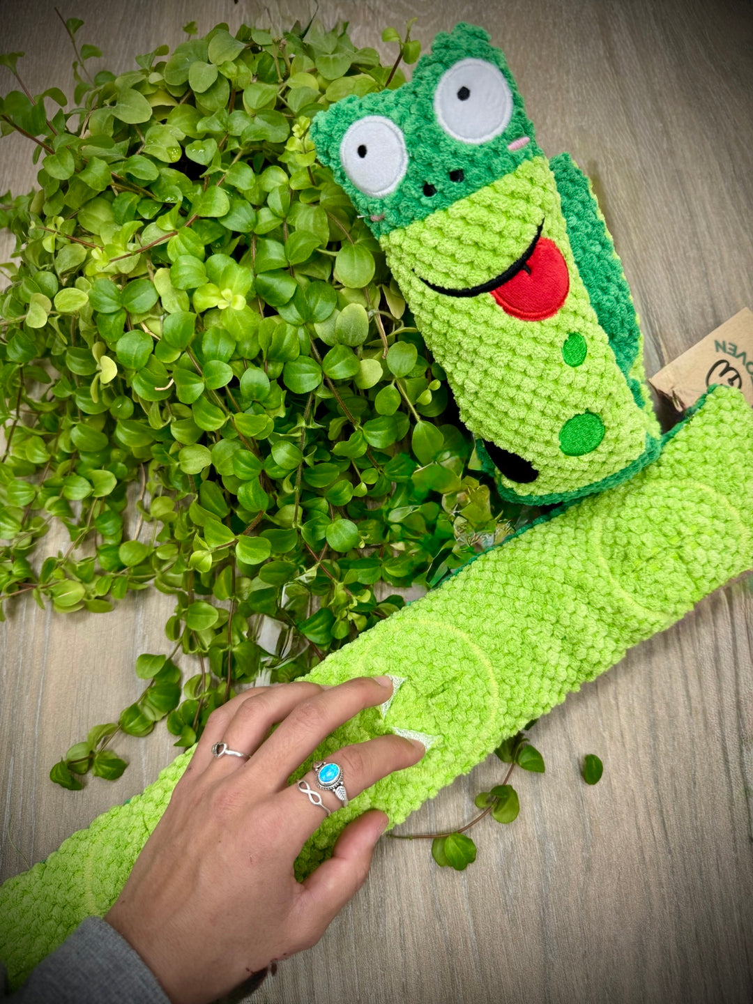 🐸 Juguete Interactivo “Rana Buscona” – Diversión Olfativa con Mucha Personalidad