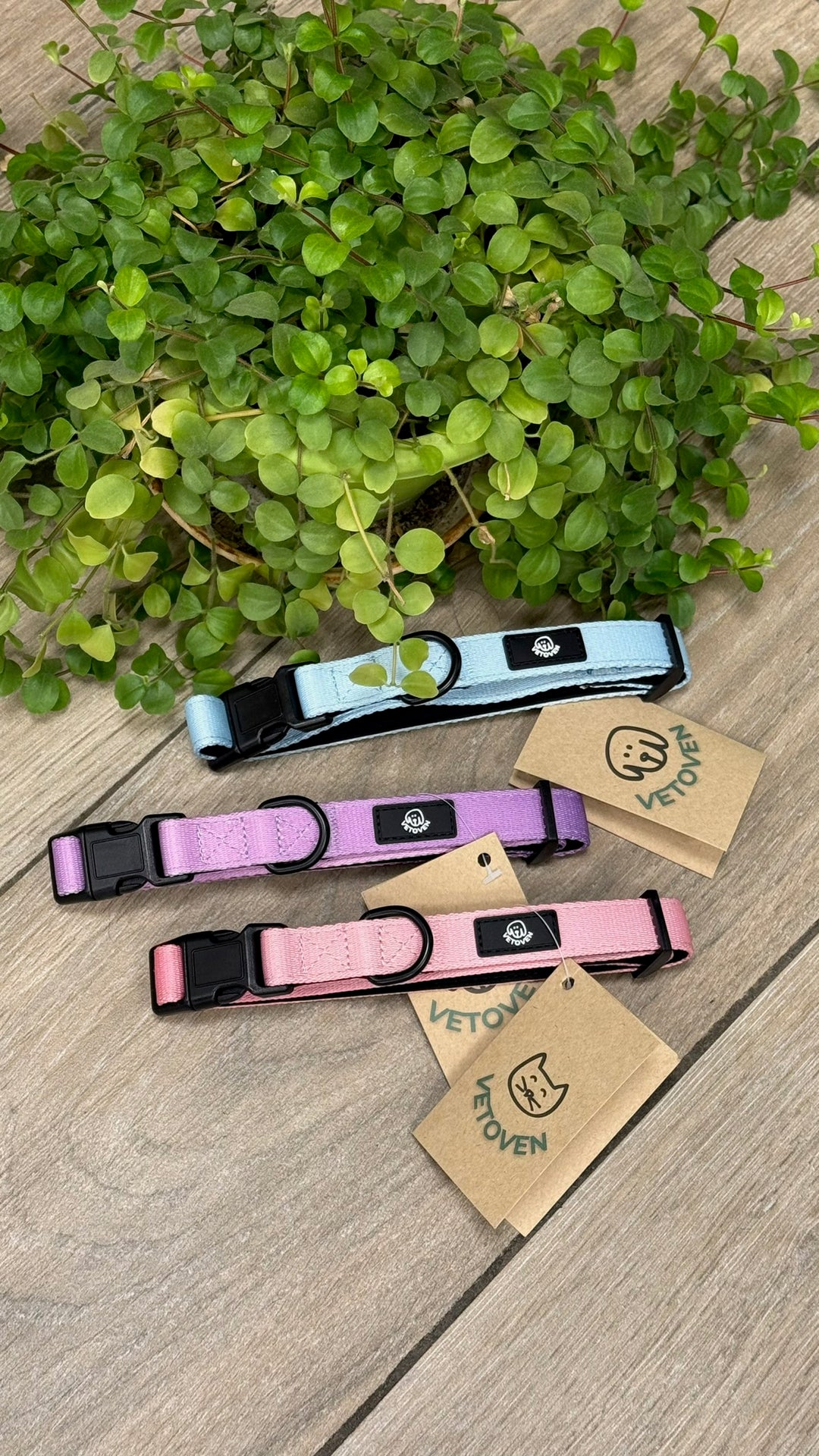 Collar Cielo Vetoven – Comodidad, Seguridad y Estilo Azul