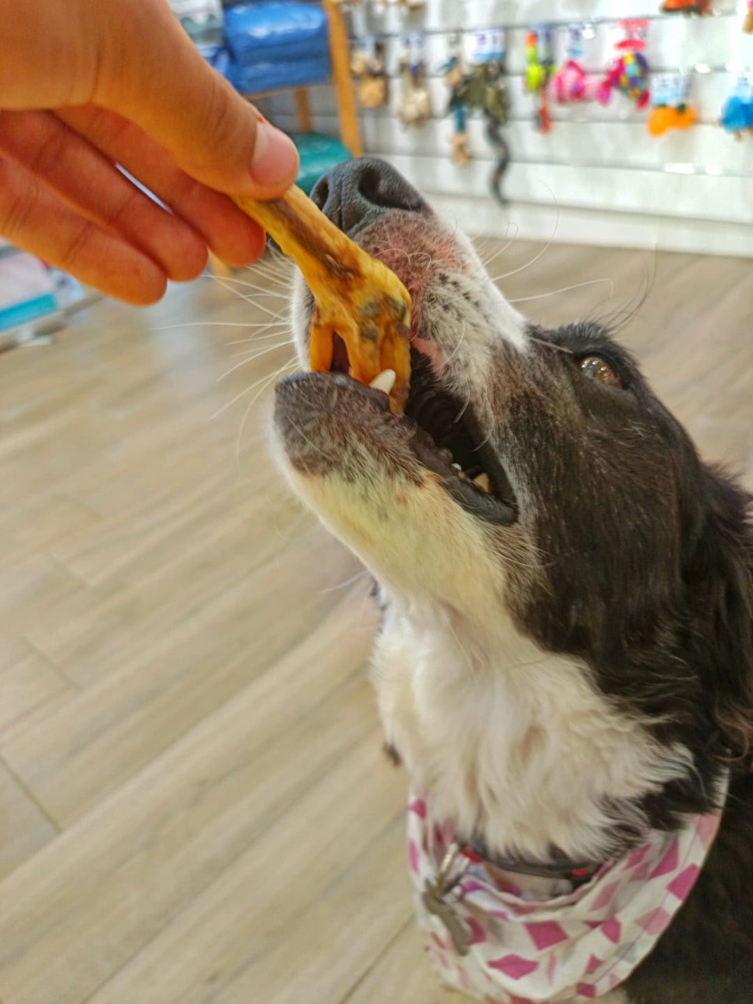 Pata de Pollo