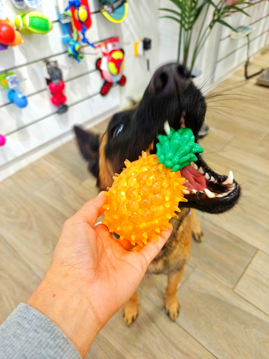 Juguete Piña