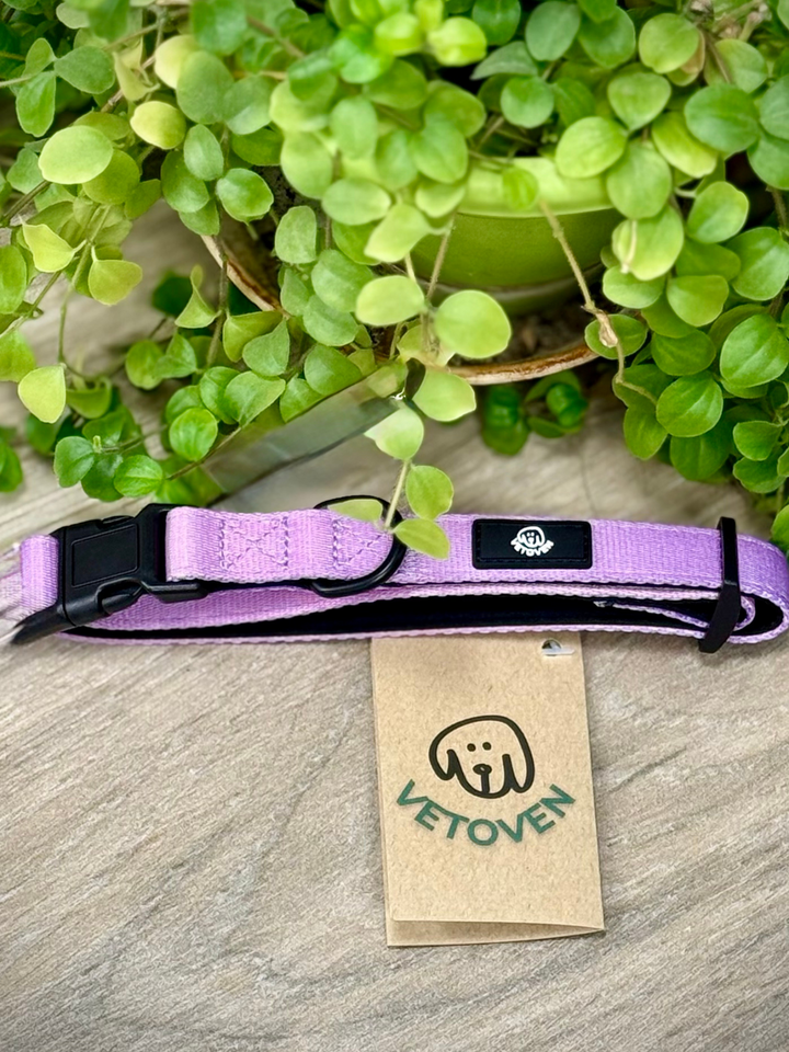 Collar Lavanda Vetoven – Nylon Resistente, Acolchado y con Estilo Suave
