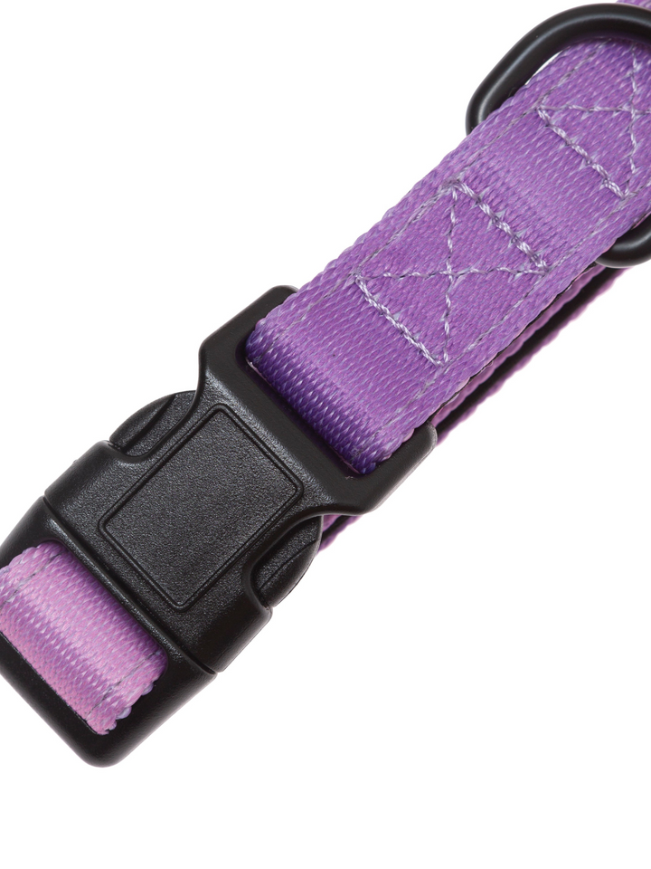Collar Lavanda Vetoven – Nylon Resistente, Acolchado y con Estilo Suave