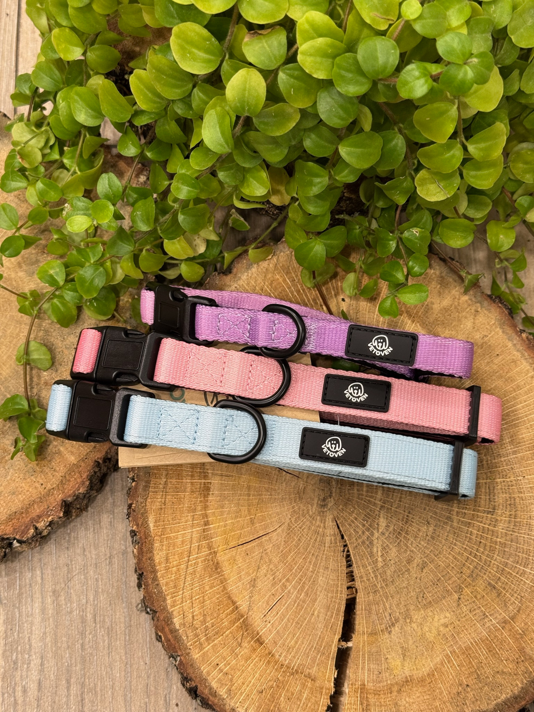 Collar Lavanda Vetoven – Nylon Resistente, Acolchado y con Estilo Suave