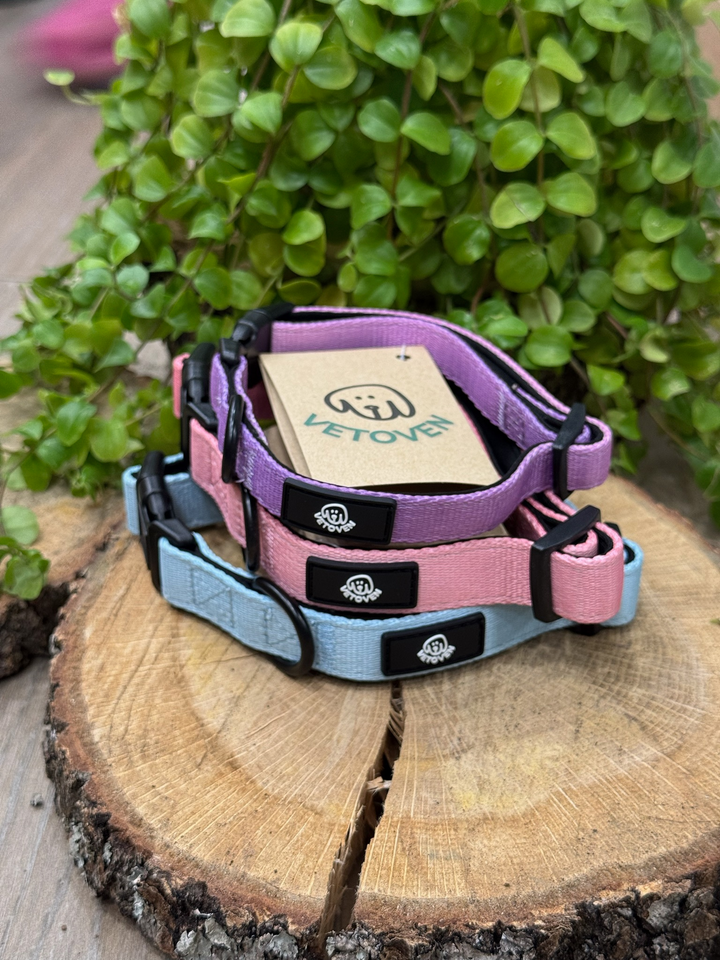 Collar Lavanda Vetoven – Nylon Resistente, Acolchado y con Estilo Suave