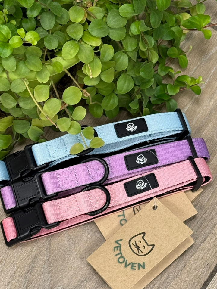 Collar Lavanda Vetoven – Nylon Resistente, Acolchado y con Estilo Suave