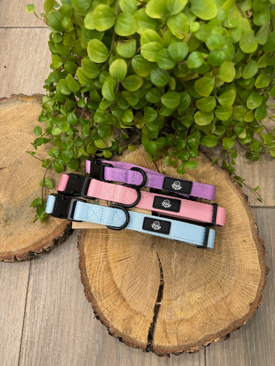 Collar Lavanda Vetoven – Nylon Resistente, Acolchado y con Estilo Suave
