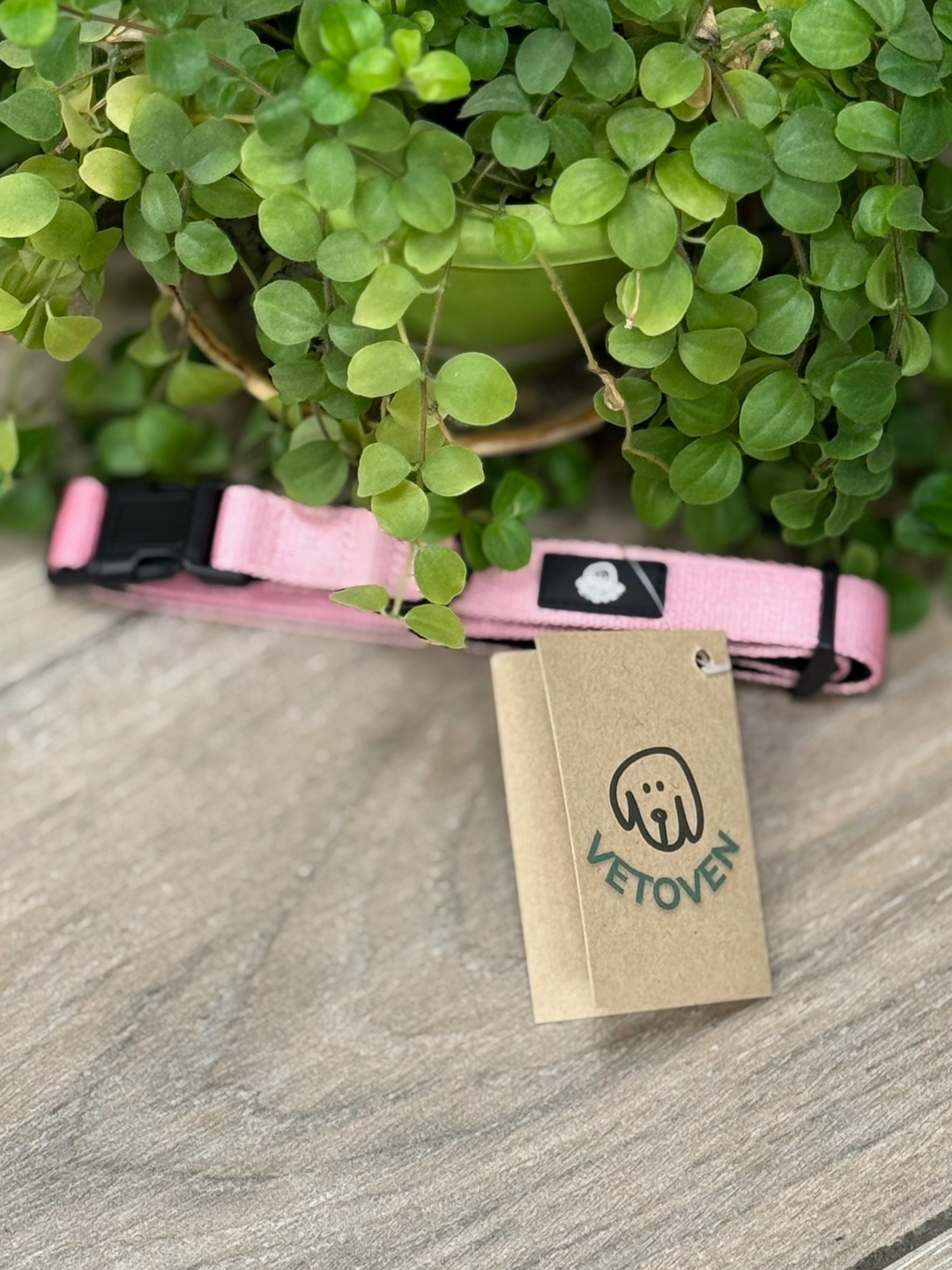 Collar Brezo de Otoño Vetoven – Suavidad, Seguridad y Estilo Natural