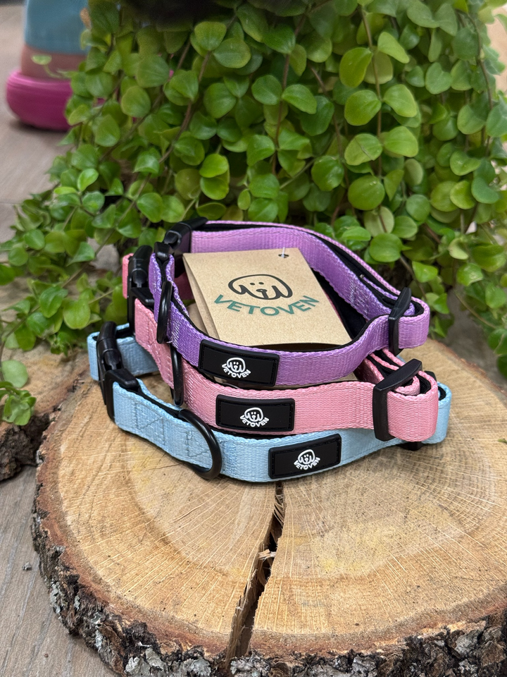 Collar Brezo de Otoño Vetoven – Suavidad, Seguridad y Estilo Natural