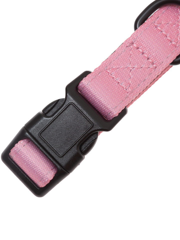 Collar Brezo de Otoño Vetoven – Suavidad, Seguridad y Estilo Natural