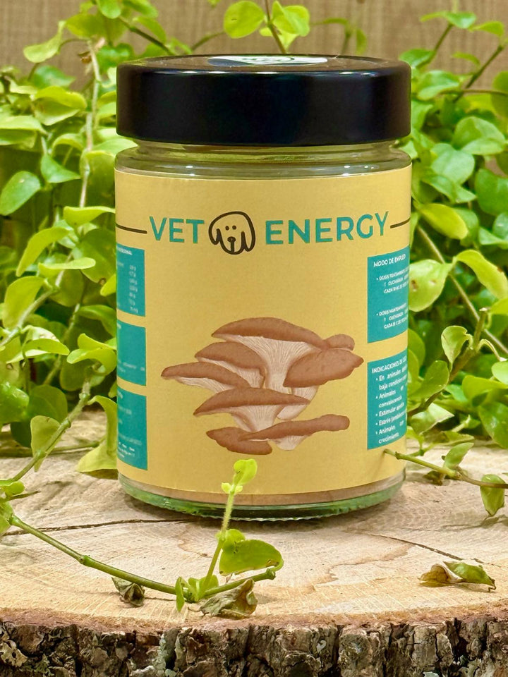💪🍄 HONGO TERAPUETICO - VETOENERGY