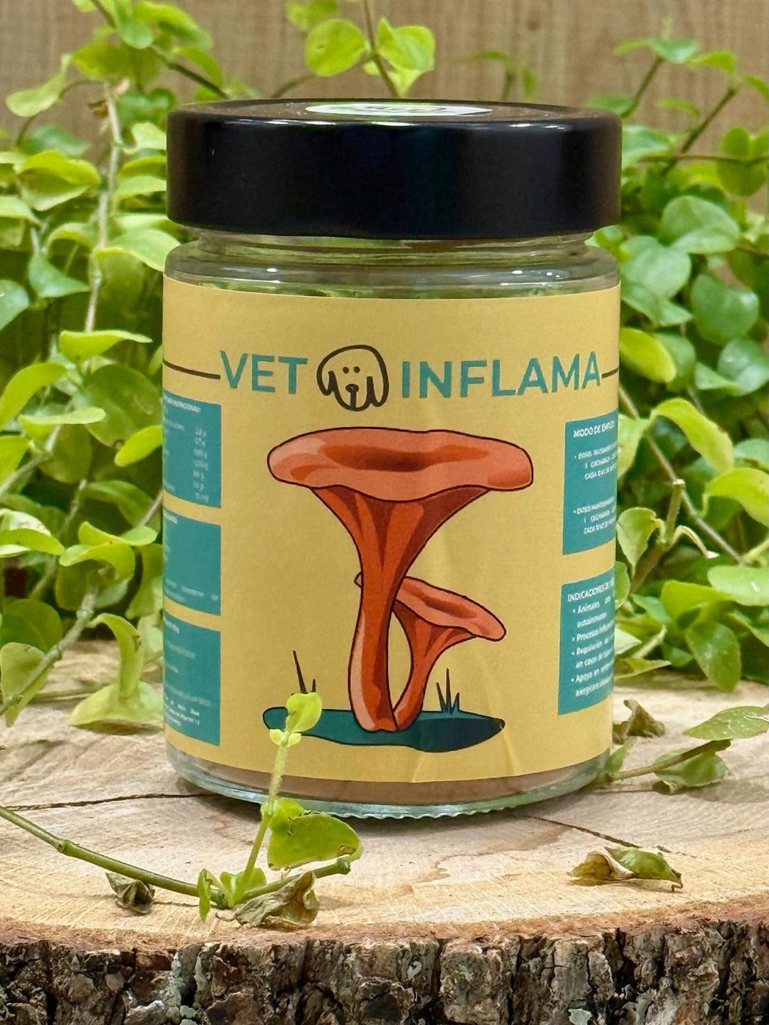 🍄🦴 HONGO TERAPEUTICO - VETOINFLAMA