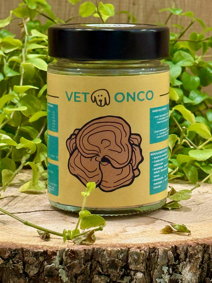 🍄 HONGO TERAPUETICO - VETOONCO