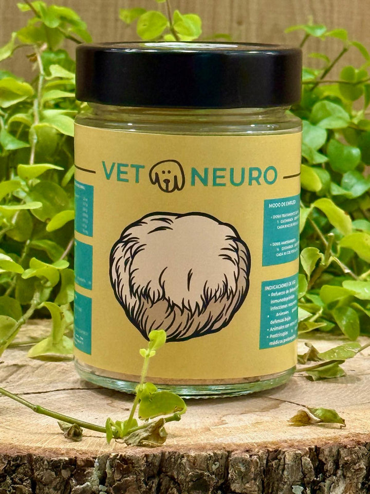 🧠🌱 HONGO TERAPUETICO - VETONEURO