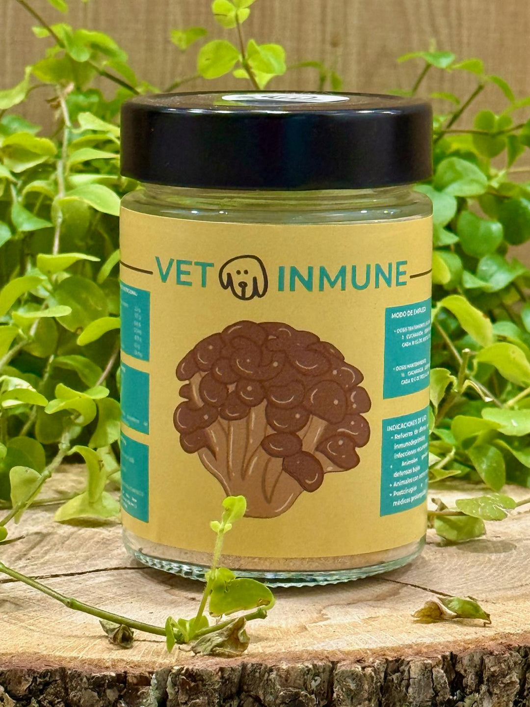 🍄💪 HONGO TERAPEUTICO - VETOINMUNE