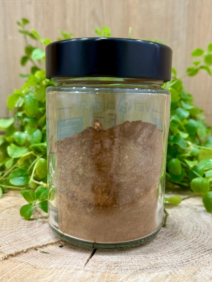 🍄🤒 HONGO TERAPUETICO - VETODIGEST