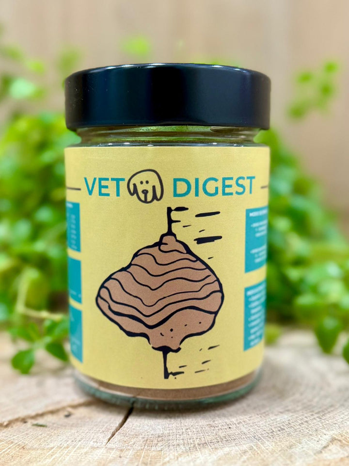 🍄🤒 HONGO TERAPUETICO - VETODIGEST