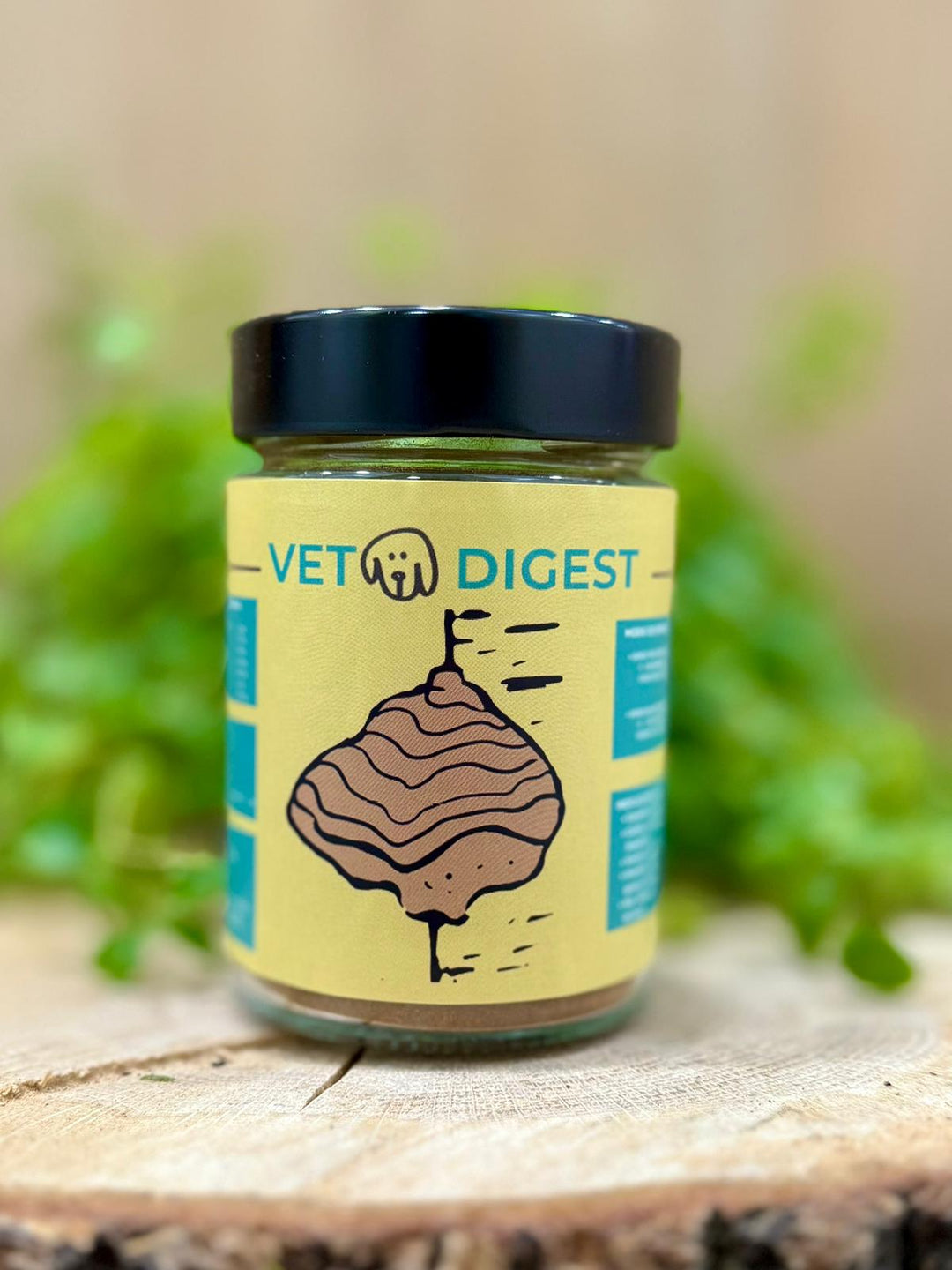 🍄🤒 HONGO TERAPUETICO - VETODIGEST