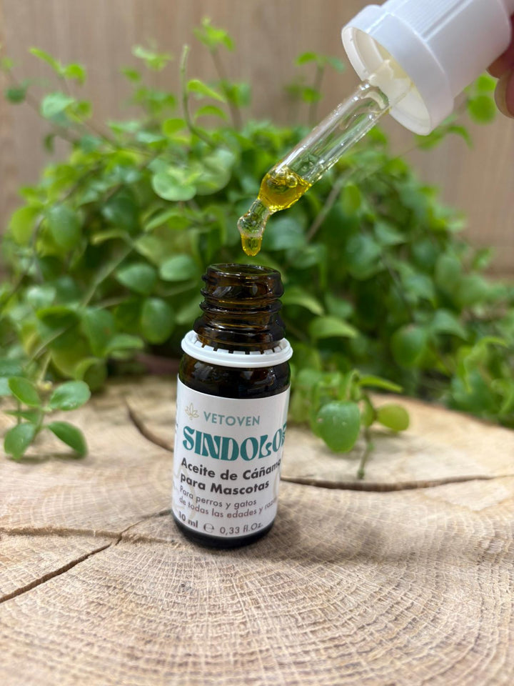 CBD - ACEITE DE CÁÑAMO PREMIUM - 10 ML - VETOVEN SINDOLOR