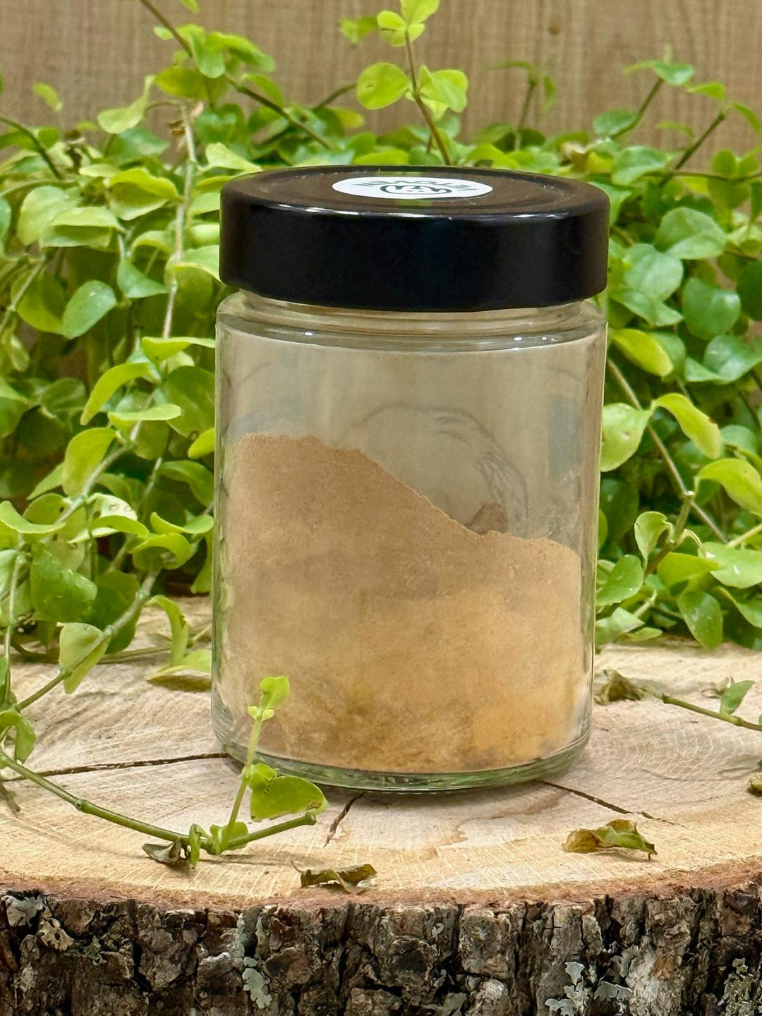 🧠🌱 HONGO TERAPUETICO - VETONEURO