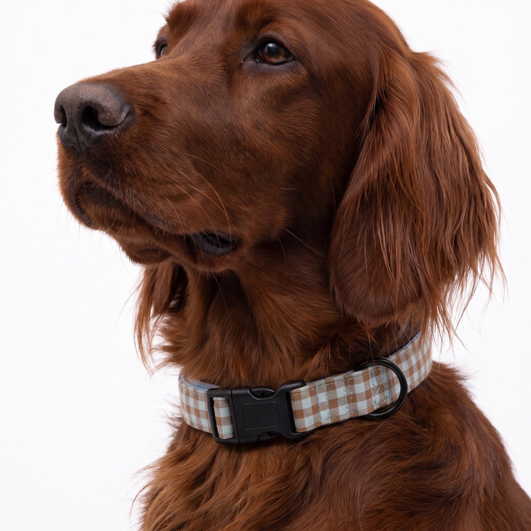 Collar Regulable Vichy Bruno para Perro | Vetoven