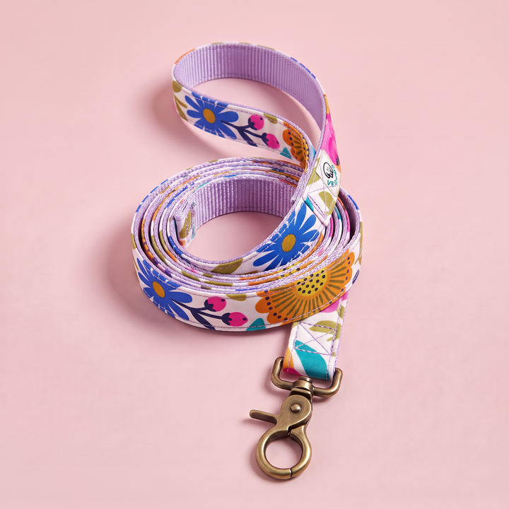 Correa para Perro Artesanal Amapola Pop – enrollada