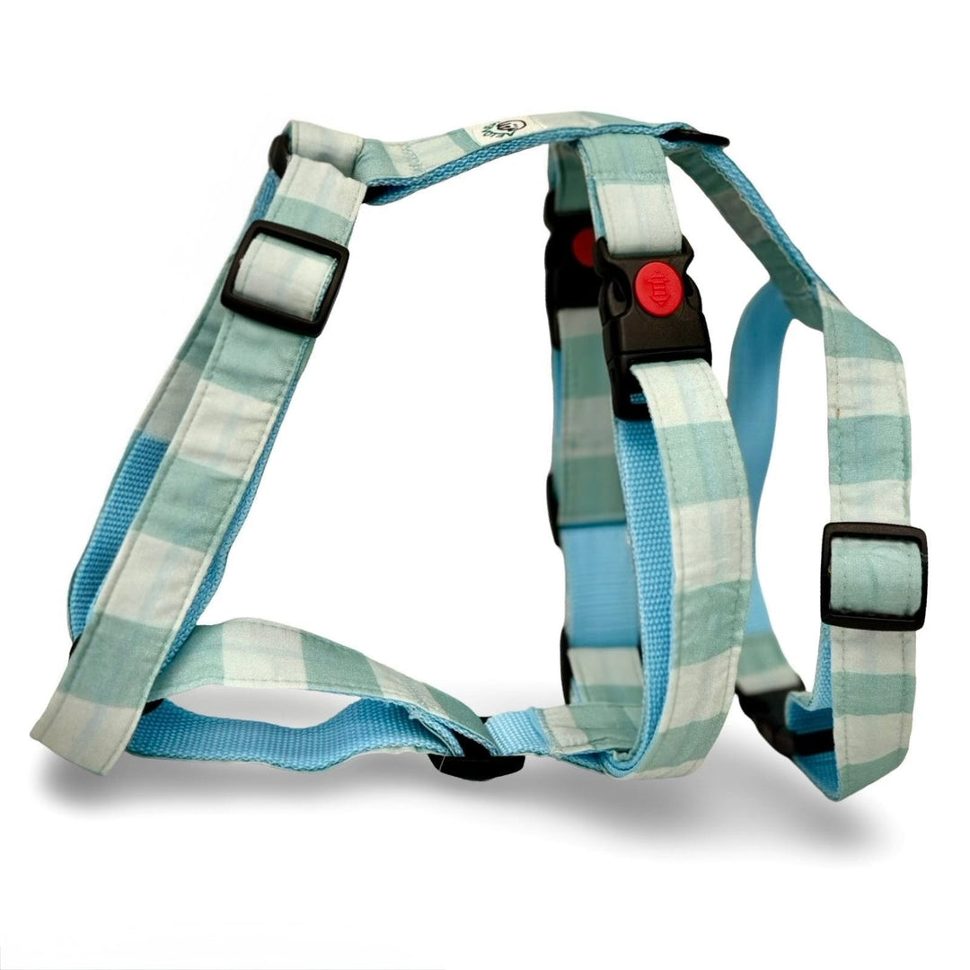 Arnés ergonómico en H para perro modelo Acuamar en color turquesa con forro acolchado.
