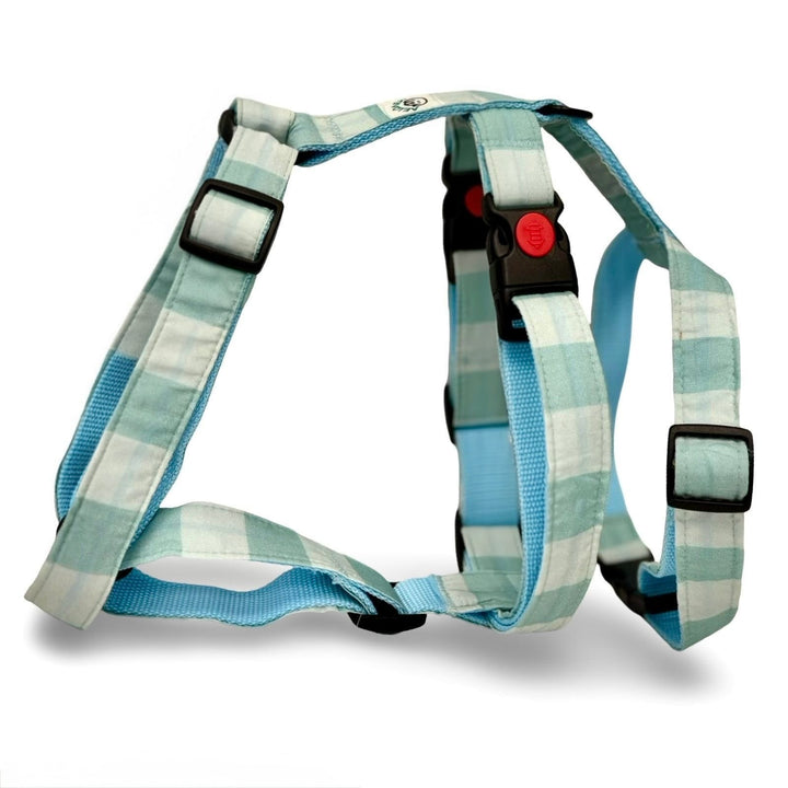 Arnés ergonómico en H para perro modelo Acuamar en color turquesa con forro acolchado.