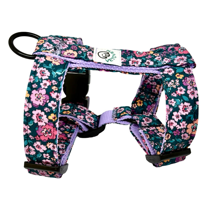 Arnés ergonómico en H para perro Flor de Jacinto con forro acolchado violeta.