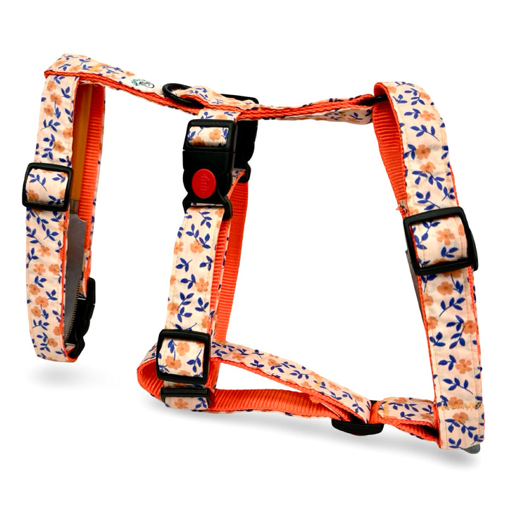 Arnés antiescape de 3 puntos para galgo con estampado naranja Flor de Albaricoque.