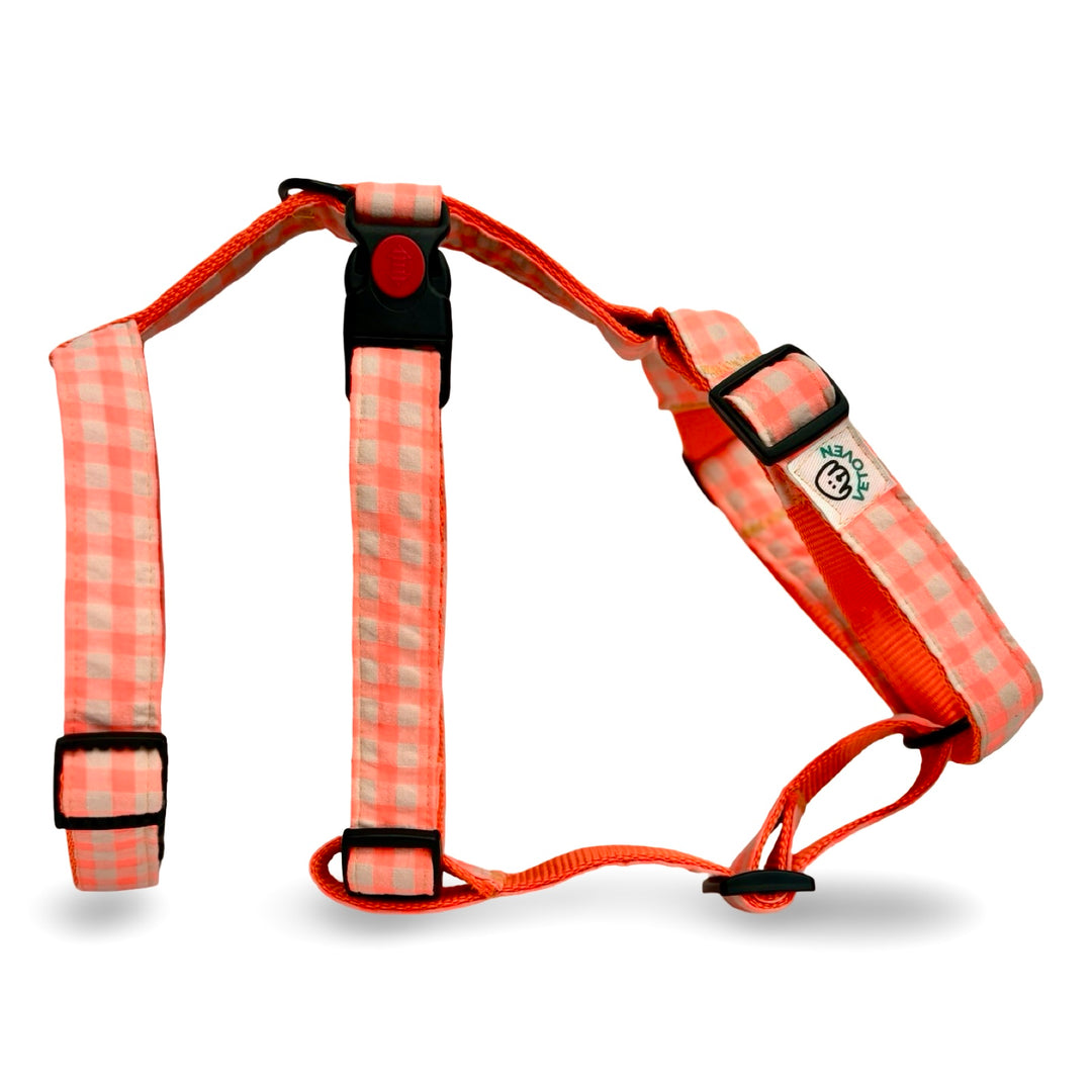Arnés de tres puntos de alta visibilidad para galgos y podencos de la colección Vichy Coral Pop.
