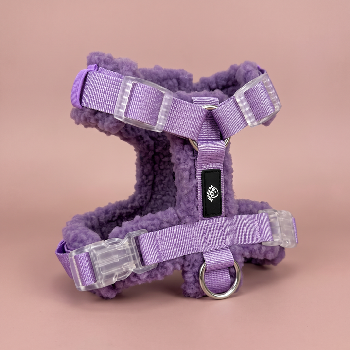 Arnés para perro Merina Lavanda – puesto de pie