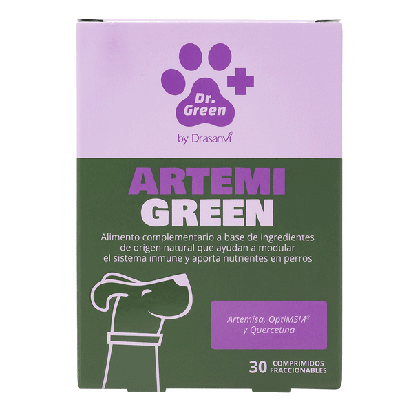 🦴 ArtemiGreen – Apoyo natural para perros con leishmaniosis