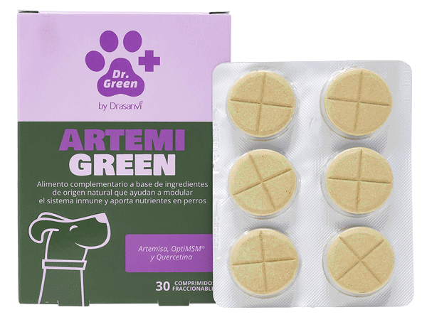 🦴 ArtemiGreen – Apoyo natural para perros con leishmaniosis