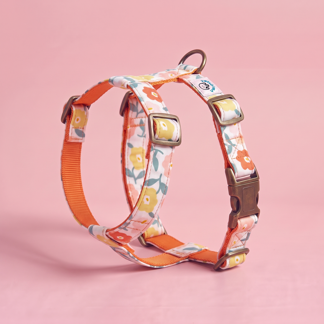 Arnés para Perros Azucena Naranja – Colección Jardín de Verano – puesto de pie