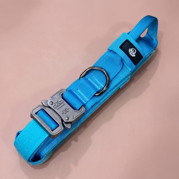 Collar para Perro Azul Glacial – Colección Roca & Ruta – vista 2