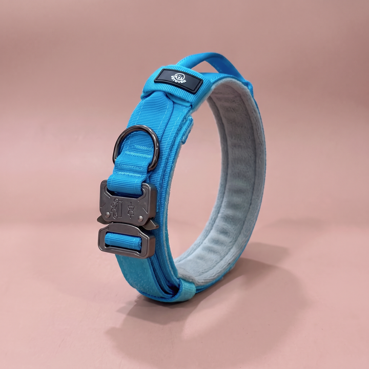 Collar para Perro Azul Glacial – Colección Roca & Ruta – cerrado