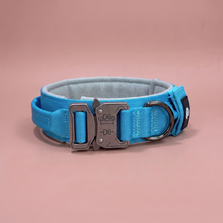 Collar para Perro Azul Glacial – Colección Roca & Ruta