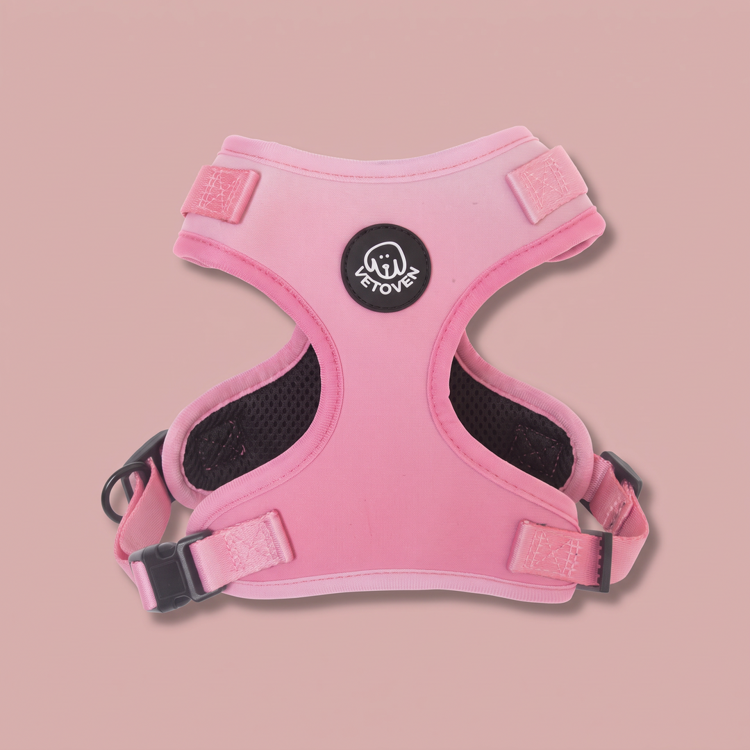 🩷 Arnés “Brezo” para Perros – Colección Primavera Vetoven
