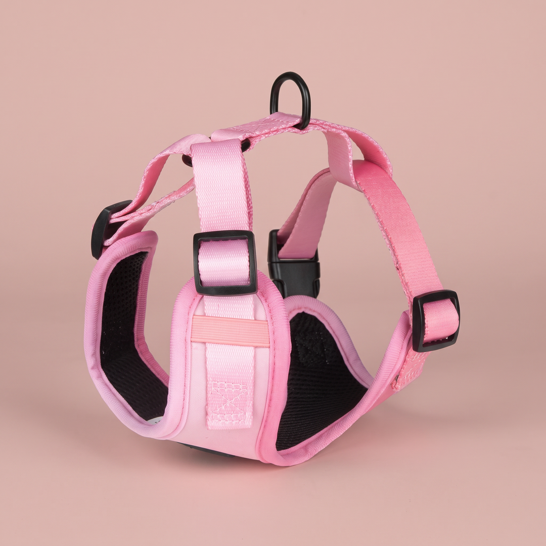 🩷 Arnés “Brezo” para Perros – Colección Primavera Vetoven