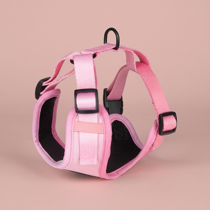 🩷 Arnés “Brezo” para Perros – Colección Primavera Vetoven