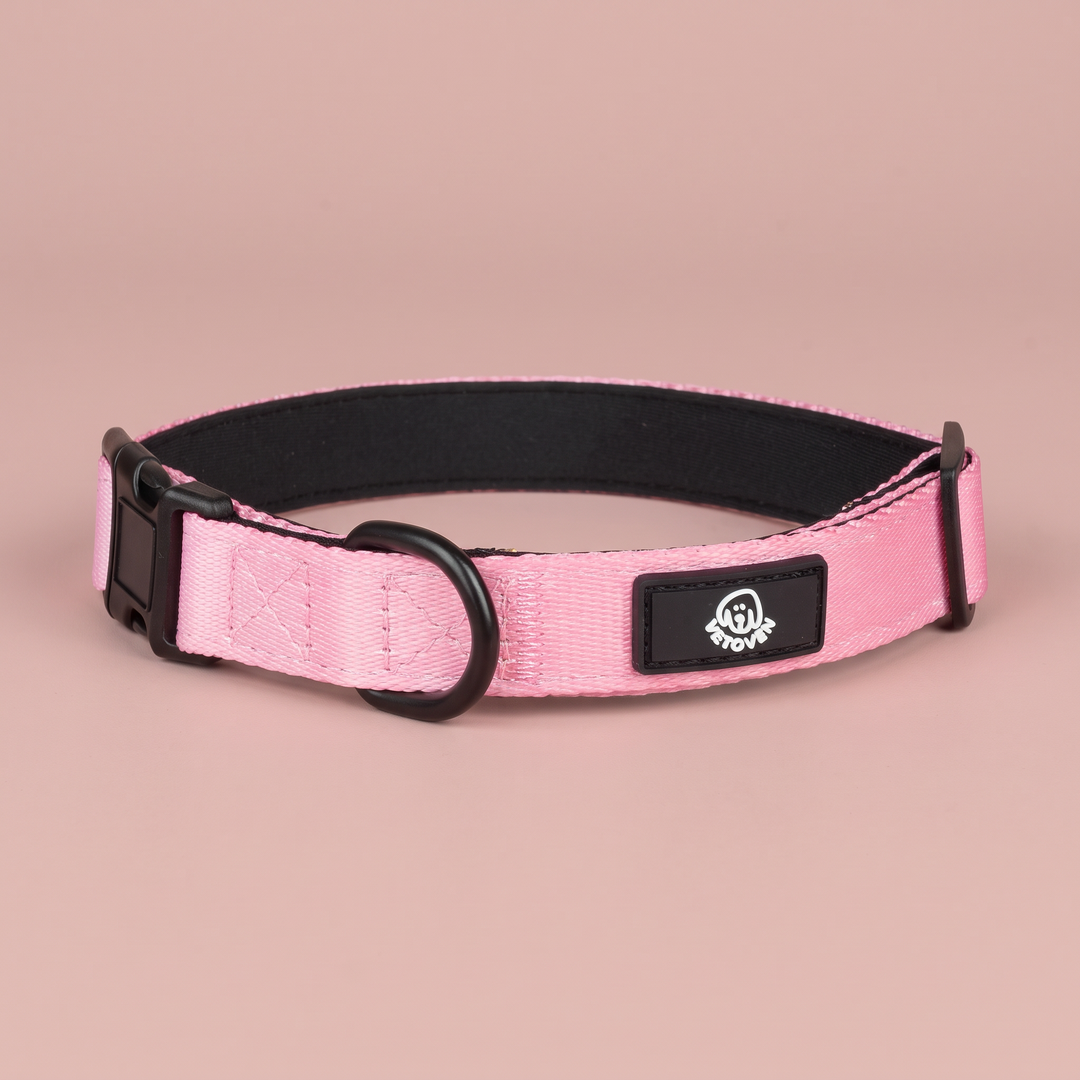 🩷 Collar “Brezo” para Perros – Colección Primavera Vetoven