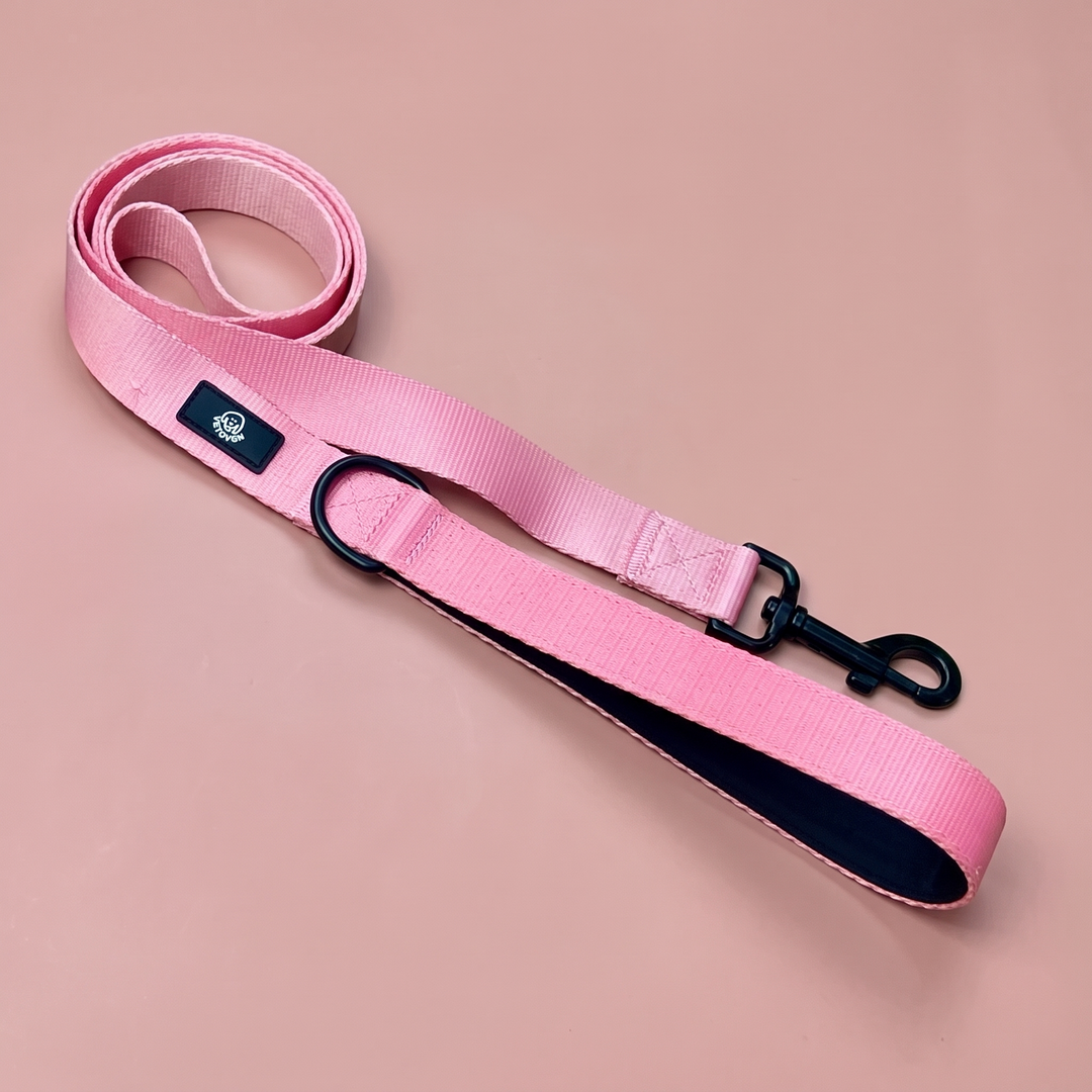 Correa para perro Brezo Vetoven – Colección Primavera