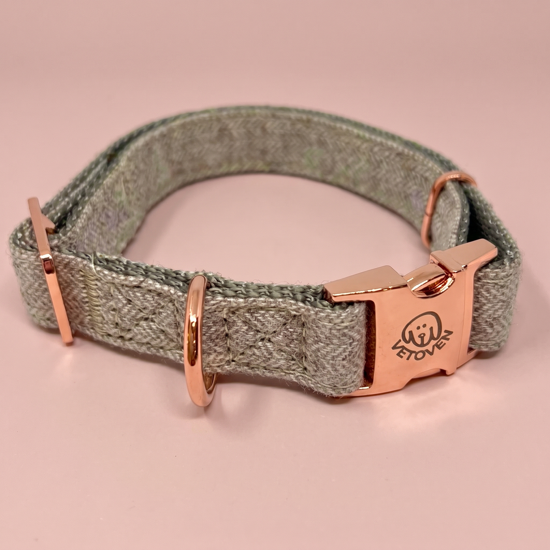 Collar para perro Bruma de Pino – Colección Naturaleza Vetoven