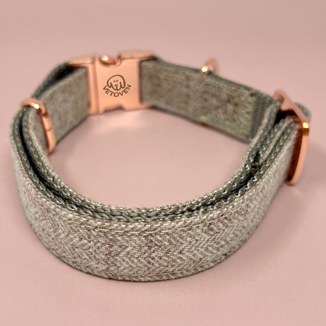 Collar para perro Bruma de Pino – Colección Naturaleza Vetoven – vista 2