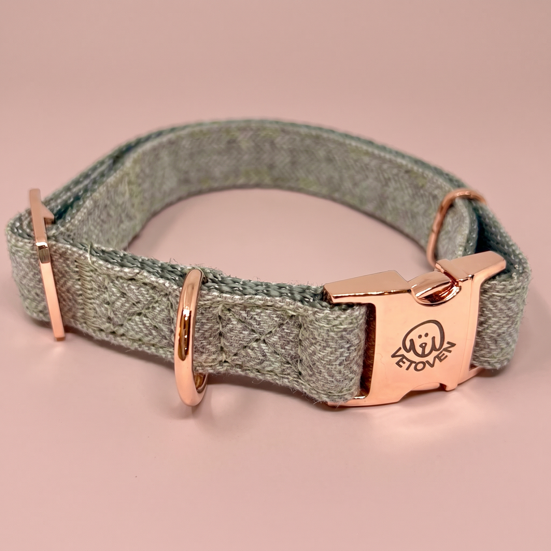 Collar para perro Bruma de Pino – Colección Naturaleza Vetoven – vista 3